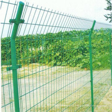 Welded Wire Mesh Fence for Protection